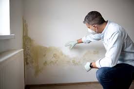 Best Comprehensive Air Testing for Mold Contaminants  in Hendersonville, NC